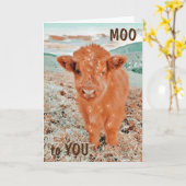 COOLE COW SAY MOO ZU DIR *15. GEBURTSTAG* Karte (Gelbe Blume)