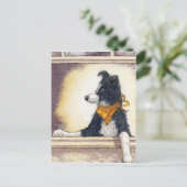 Coole Cowboy-Collie behalte sorgfältig ein Auge... Postkarte (Stehend Vorderseite)