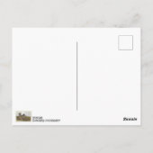 Coole dänische Troll Postkarte! Postkarte (Rückseite)