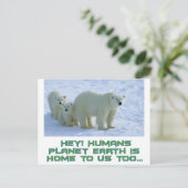 coole Eisbärentwürfe Postkarte (Stehend Vorderseite)