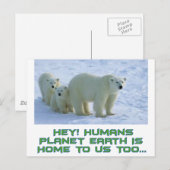 coole Eisbärentwürfe Postkarte (Vorne/Hinten)