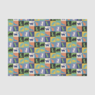 Coole, farbenfrohe Katzen auf Quiltplätzen Seidenpapier