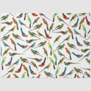 Coole, farbenfrohe tropische Vogelmuster Seidenpapier