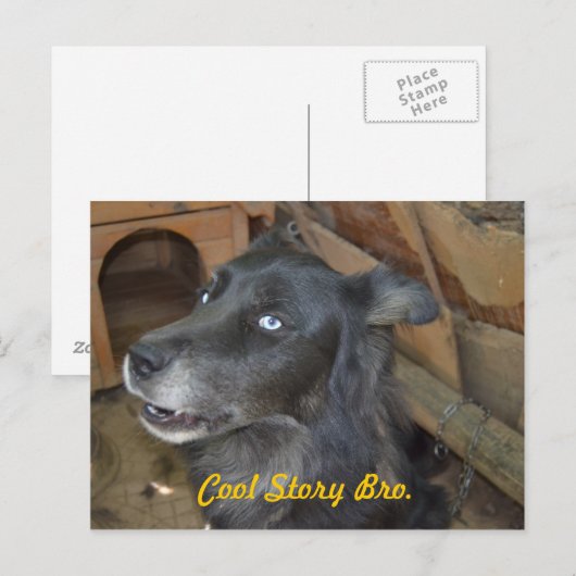 Coole Geschichte Bro Postkarte (Vorne/Hinten)