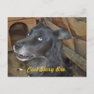 Coole Geschichte Bro Postkarte