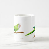 Coole grüne Quäker-Papageien-Tasse Kaffeetasse (Mittel)