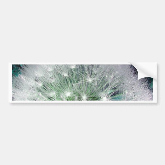 Coole grüne und weiße Kronleuchte mit Wassertropfe Autoaufkleber (Vorne)