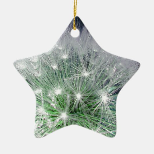 Coole grüne und weiße Kronleuchte mit Wassertropfe Keramikornament (Vorne)