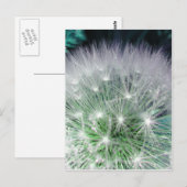 Coole grüne und weiße Kronleuchte mit Wassertropfe Postkarte (Vorne/Hinten)