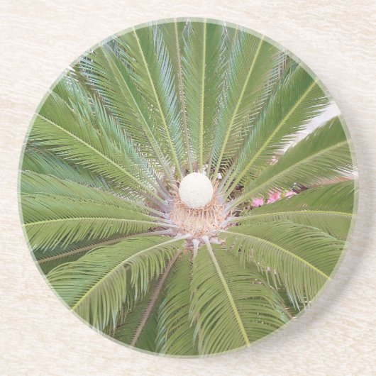 Coole Grünpalme Sandstein Untersetzer (Vorne)