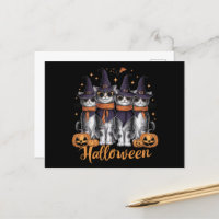 Coole Halloween-Katzen-Geschenke für ihr Töchterge