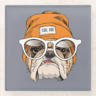 Coole Hipster-Bulldogge Glasuntersetzer