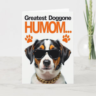 Coole Hund Karte