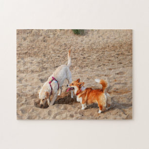 coole Hunde am Strand Puzzle