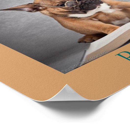 Coole Hunde lesen Literaturplakat Poster (Ecke)