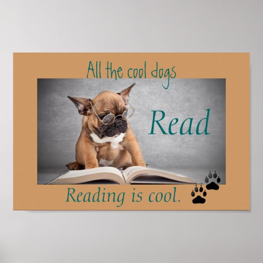 Coole Hunde lesen Literaturplakat Poster (Vorne)