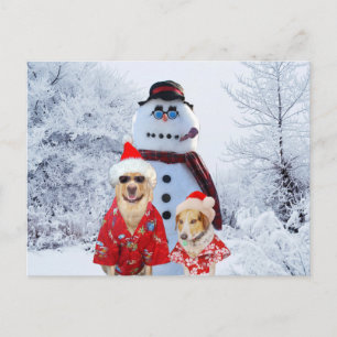 Coole Hunde und Schneemann Postkarte