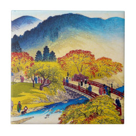 Coole japanische Gebirgsfall-river Fliese