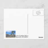 Coole Joshua Tree Postcard! Postkarte (Rückseite)