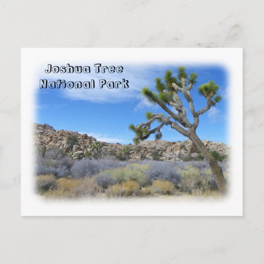 Coole Joshua Tree Postcard! Postkarte (Vorderseite)
