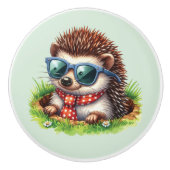 Coole Jungs Igel-Kinderzimmer  Keramikknauf (Vorderseite)