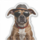 Coole Kanine: Hunde mit Hut und Sonnenbrille-Aufkl Aufkleber (Vorderseite)