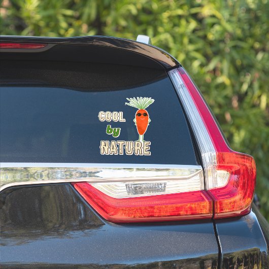 Coole Karottensammlung Aufkleber (Auto Seite)