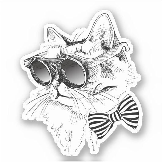 Coole Katze Aufkleber (Vorderseite)