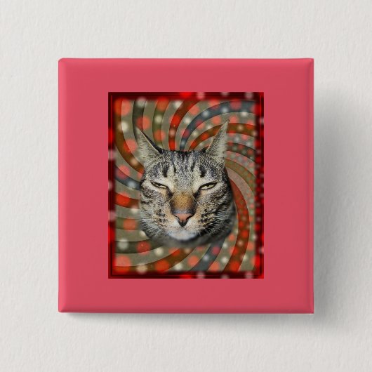 Coole Katze - DU KANNST Deinen Geschenk! Button (Vorderseite)