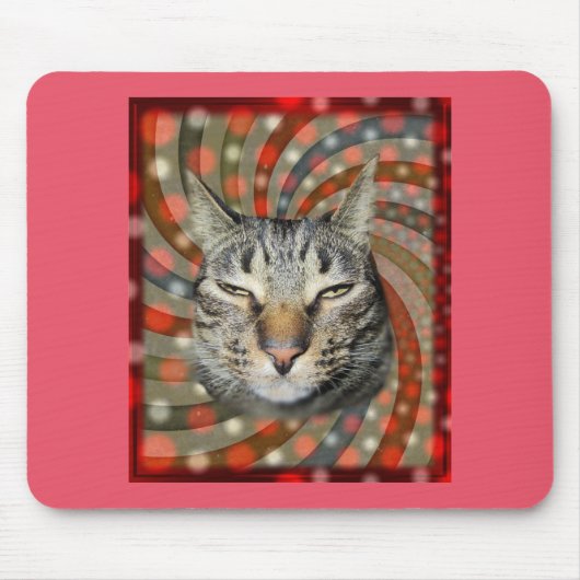 Coole Katze - DU KANNST Deinen Geschenk! Mousepad (Vorne)