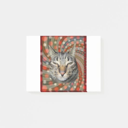 Coole Katze - DU KANNST Deinen Geschenk! Post-it Klebezettel (Vorderseite)