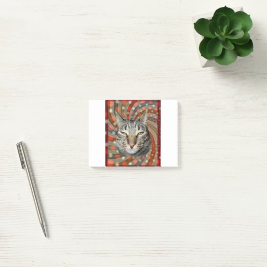 Coole Katze - DU KANNST Deinen Geschenk! Post-it Klebezettel (Büro)
