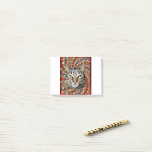 Coole Katze - DU KANNST Deinen Geschenk! Post-it Klebezettel (Auf Schreibtisch)