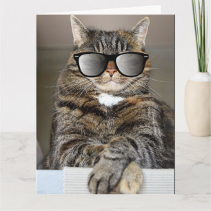 COOLE KATZE GLÜCKLICH BIRTHDAY SUNGLASSEN GREETING KARTE