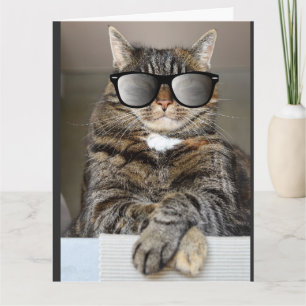 COOLE KATZE GLÜCKLICH GEBURTSTAG ÜBERSIEGTE GREETI KARTE