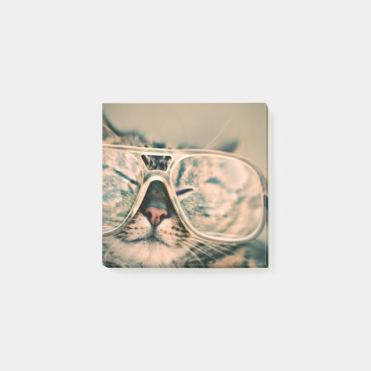 Coole Katze im Glas-Fotodruck Post-it Klebezettel (Vorderseite)