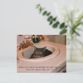 coole Katze im Sommer Postkarte (Stehend Vorderseite)
