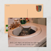coole Katze im Sommer Postkarte (Vorne/Hinten)