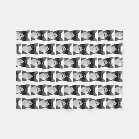 Coole Katze in der Stadt Fleecedecke (Vorderseite (Horizontal))