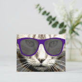 coole Katze mit einer Sonnenbrille auf Postkarten (Stehend Vorderseite)