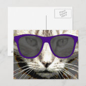 coole Katze mit einer Sonnenbrille auf Postkarten (Vorne/Hinten)