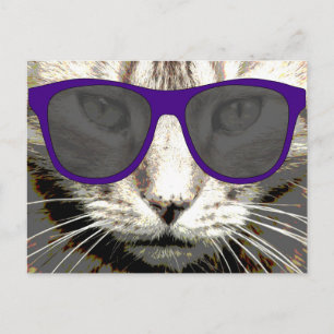 coole Katze mit einer Sonnenbrille auf Postkarten
