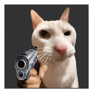 Coole Katze mit Pistole Lustiges Meme Fotodruck