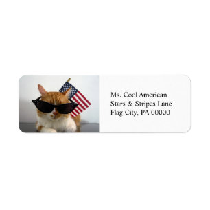 Coole Katze mit Rücksendeetiketten der amerikanisc