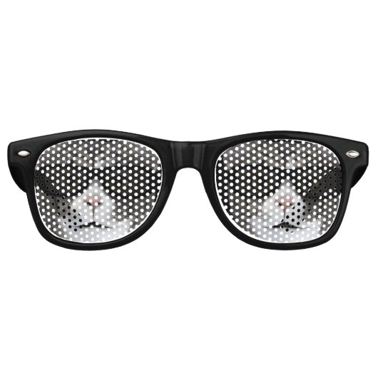 Coole Katze mit schwarzer Sonnenbrille (Vorderseite)