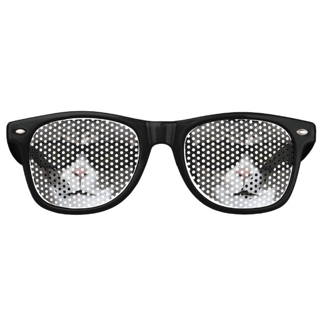 Coole Katze mit schwarzer Sonnenbrille (Vorderseite)