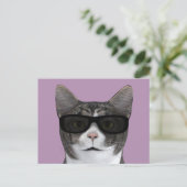 Coole Katze mit schwarzer Sonnenbrille Postkarte (Stehend Vorderseite)