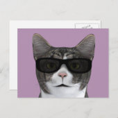 Coole Katze mit schwarzer Sonnenbrille Postkarte (Vorne/Hinten)