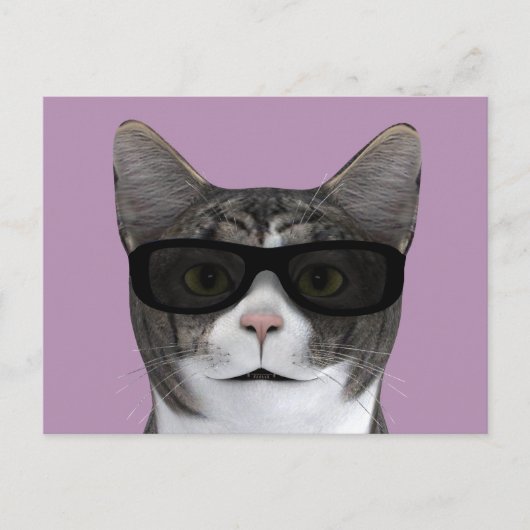 Coole Katze mit schwarzer Sonnenbrille Postkarte (Vorderseite)