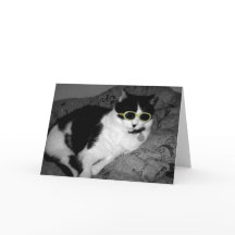 Coole Katze mit Sonnenbrille Geburtstagskarte